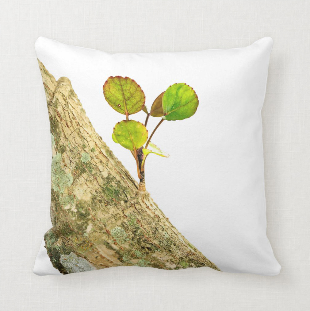 Polyscias scutellaria (Balfour aralia) Throw Pillow Polyscias scutellaria (Balfour aralia) Throw Pillow